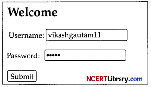 CBSE Sample Papers for Class 10 Computer Applications Set 2 IMG 3
