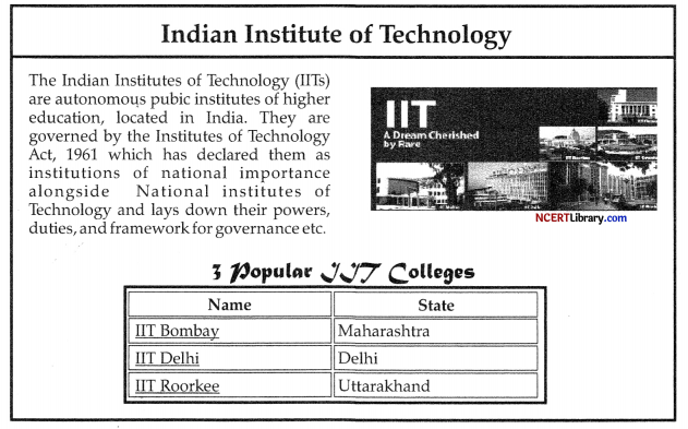 CBSE Sample Papers for Class 10 Computer Applications Set 3 IMG 2
