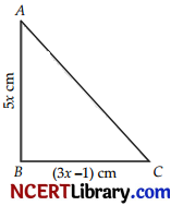 CBSE Sample Papers for Class 10 Maths Basic Set 6 with Solutions -13