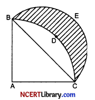 CBSE Sample Papers for Class 10 Maths Standard Set 5 Img 12