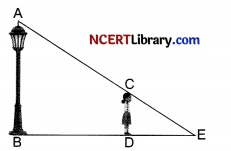 CBSE Sample Papers for Class 10 Maths Standard Set 6 Img 18