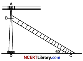 CBSE Sample Papers for Class 10 Maths Standard Set 7 Img 16