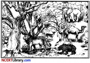 CBSE Sample Papers for Class 10 Sanskrit Set 10 with Solutions - 1