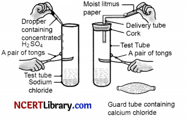 CBSE-Sample-Papers-for-Class-10-Science-Set-1-with-Solutions-1