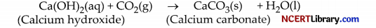 CBSE Sample Papers for Class 10 Science Set 1 with Solutions 14