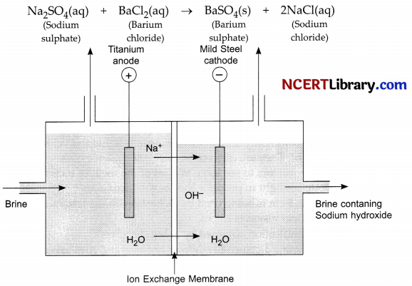 CBSE Sample Papers for Class 10 Science Set 1 with Solutions 19