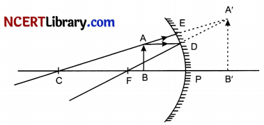 CBSE Sample Papers for Class 10 Science Set 1 with Solutions 20