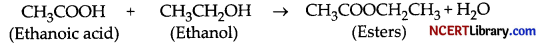CBSE Sample Papers for Class 10 Science Set 1 with Solutions 21