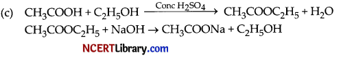 CBSE Sample Papers for Class 10 Science Set 1 with Solutions 22