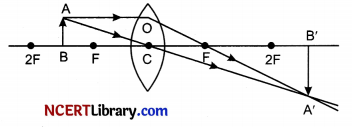 CBSE Sample Papers for Class 10 Science Set 1 with Solutions 28