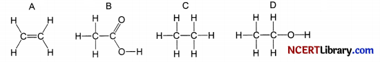 CBSE Sample Papers for Class 10 Science Set 1 with Solutions 4