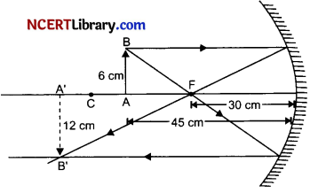 CBSE Sample Papers for Class 10 Science Set 2 with Solutions 16