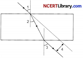 CBSE Sample Papers for Class 10 Science Set 2 with Solutions 6