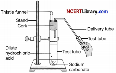 CBSE Sample Papers for Class 10 Science Set 3 with Solutions 15