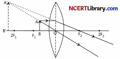 CBSE Sample Papers for Class 10 Science Set 3 with Solutions 16