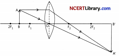 CBSE Sample Papers for Class 10 Science Set 3 with Solutions 17