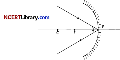 CBSE Sample Papers for Class 10 Science Set 3 with Solutions 19