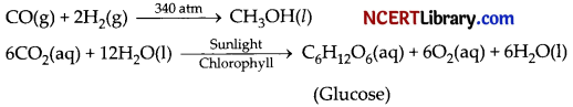 CBSE Sample Papers for Class 10 Science Set 3 with Solutions 21