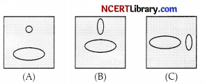CBSE Sample Papers for Class 10 Science Set 3 with Solutions 5