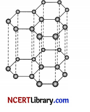 CBSE Sample Papers for Class 10 Science Set 3 with Solutions 7