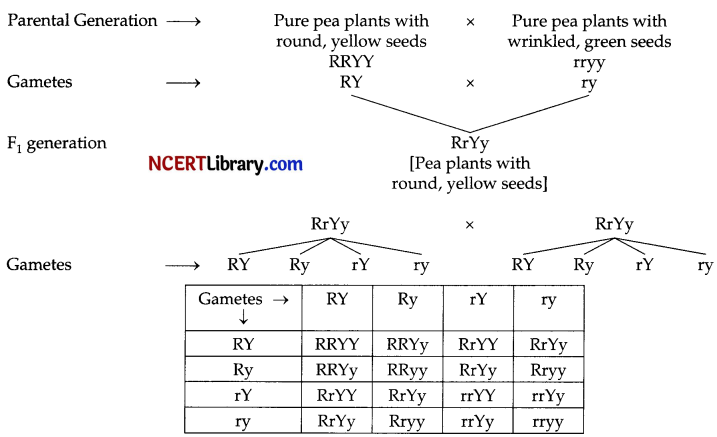 CBSE Sample Papers for Class 10 Science Set 4 with Solutions 11