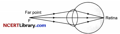 CBSE Sample Papers for Class 10 Science Set 4 with Solutions 16