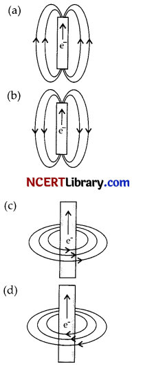 CBSE Sample Papers for Class 10 Science Set 4 with Solutions 6