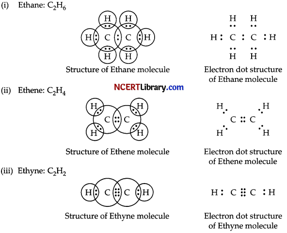 CBSE Sample Papers for Class 10 Science Set 5 with Solutions 13