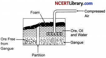 CBSE Sample Papers for Class 10 Science Set 5 with Solutions 14
