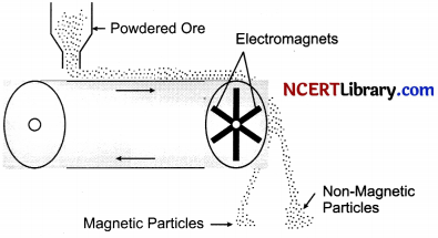 CBSE Sample Papers for Class 10 Science Set 5 with Solutions 15