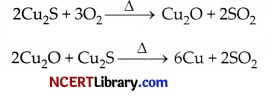 CBSE Sample Papers for Class 10 Science Set 5 with Solutions 16