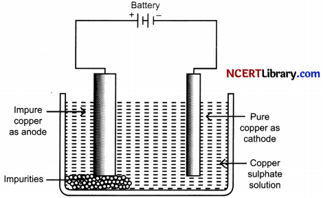 CBSE Sample Papers for Class 10 Science Set 5 with Solutions 17