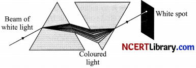 CBSE Sample Papers for Class 10 Science Set 5 with Solutions 19