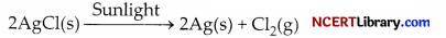 CBSE Sample Papers for Class 10 Science Set 6 with Solutions 12