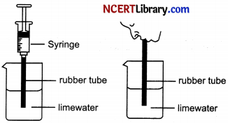 CBSE Sample Papers for Class 10 Science Set 7 with Solutions 19