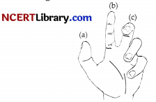 CBSE Sample Papers for Class 10 Science Set 7 with Solutions 3