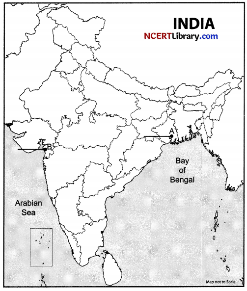 CBSE Sample Papers for Class 10 Social Science Set 1 with Solutions 2
