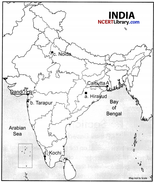 CBSE Sample Papers for Class 10 Social Science Set 1 with Solutions 3