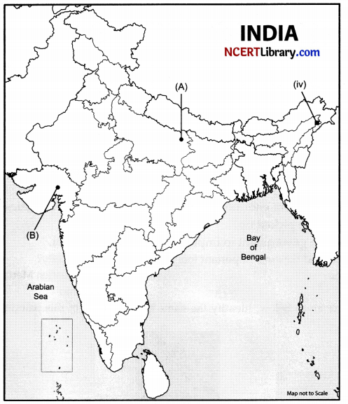 CBSE Sample Papers for Class 10 Social Science Set 2 with Solutions 2