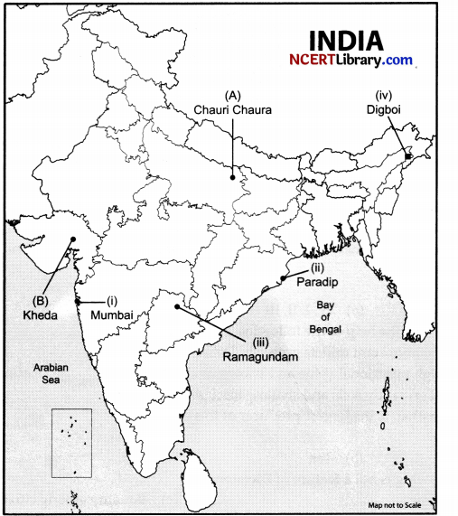 CBSE Sample Papers for Class 10 Social Science Set 2 with Solutions 3
