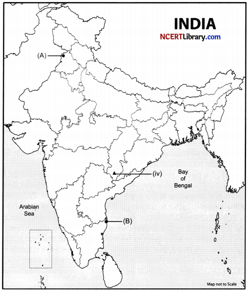CBSE Sample Papers for Class 10 Social Science Set 3 with Solutions 2