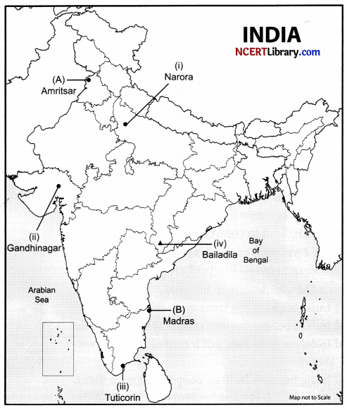 CBSE Sample Papers for Class 10 Social Science Set 3 with Solutions 3