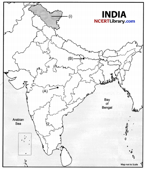 CBSE Sample Papers for Class 10 Social Science Set 4 with Solutions 3