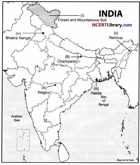 CBSE Sample Papers for Class 10 Social Science Set 4 with Solutions 4