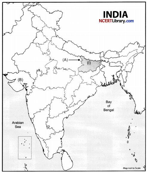CBSE Sample Papers for Class 10 Social Science Set 6 with Solutions 2