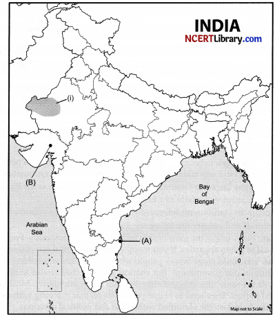 CBSE Sample Papers for Class 10 Social Science Set 6 with Solutions 3