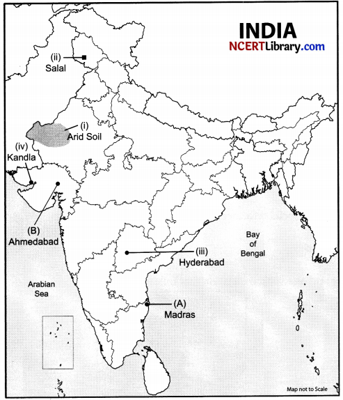 CBSE Sample Papers for Class 10 Social Science Set 6 with Solutions 4