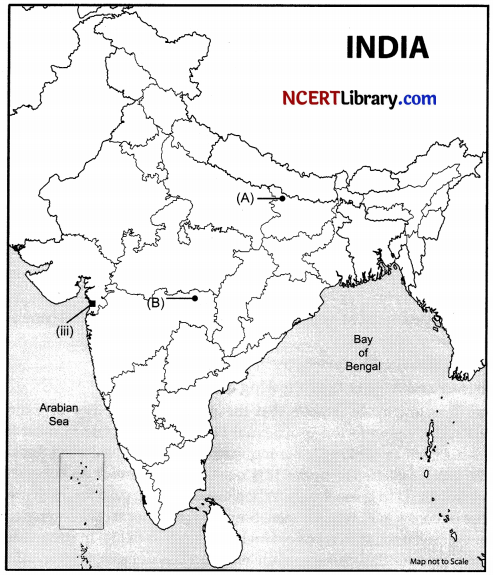CBSE Sample Papers for Class 10 Social Science Set 7 with Solutions 2