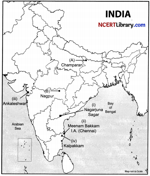CBSE Sample Papers for Class 10 Social Science Set 7 with Solutions 3