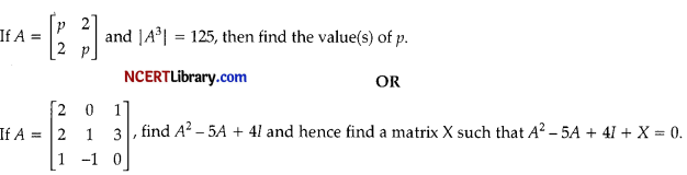 CBSE Sample Papers for Class 12 Applied Mathematics Set 2 with Solutions img-3